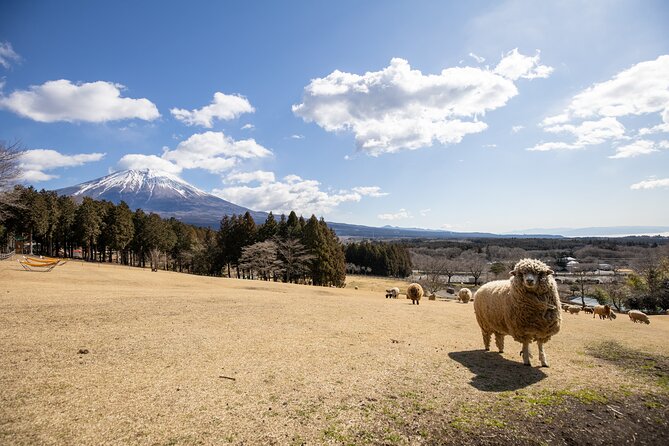 From Tokyo Mt.Fuji, Lake Kawaguchi, Makaino Farm day tour - Makaino Farm: Sheep, Horses, and Dairy Treats With a Real View