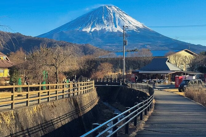 From Tokyo Mt.Fuji, Lake Kawaguchi, Makaino Farm day tour - Price and Logistics: Why $84.70 Can Make Sense
