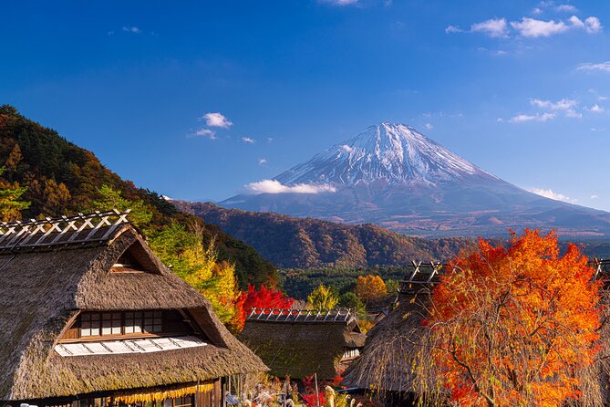From Tokyo Mt.Fuji, Lake Kawaguchi, Makaino Farm day tour - Guide Quality and Group Size: What Makes It Feel Easy