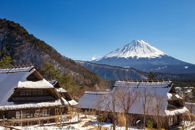From Tokyo Mt.Fuji, Lake Kawaguchi, Makaino Farm day tour - Who This Day Trip Is Best For