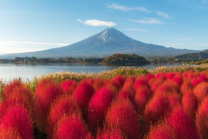 From Tokyo Mt.Fuji, Lake Kawaguchi, Makaino Farm day tour - Oishi Park on Lake Kawaguchi: Fuji Photos Without the Waiting Game