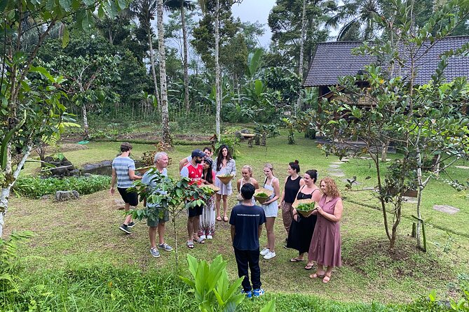 From Ubud: Authentic Bali Farm Cooking School & Organic Farm - From Ubud Central Parking to Taro Village: how the day flows
