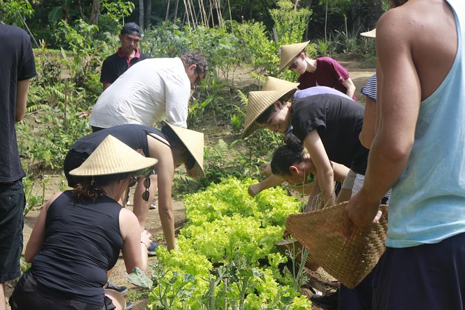 From Ubud: Authentic Bali Farm Cooking School & Organic Farm - Price and value: why $38 can work in Ubud