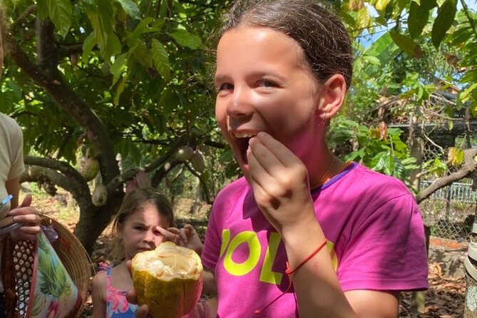 Full Day Experience to Farm and Chocolate - Key things to notice before you go