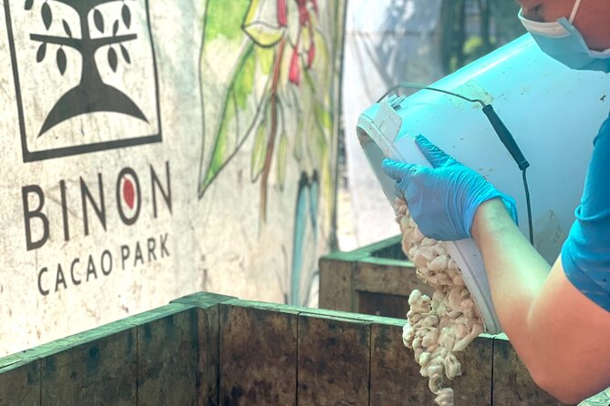 Full Day Experience to Farm and Chocolate - Farm and Factory in One Park: BINON Cacao Park Basics