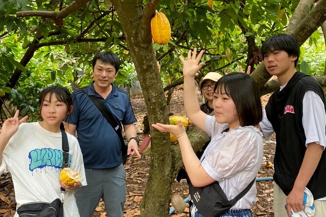 Full Day Experience to Farm and Chocolate - Lunch Break at the Outdoor Restaurant: Simple and Filling