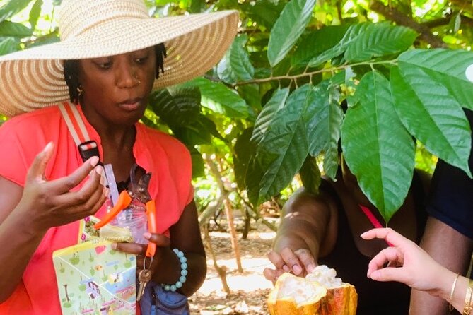 Full Day Experience to Farm and Chocolate - Cafe, Desserts, and Souvenir Shopping Inside the Park