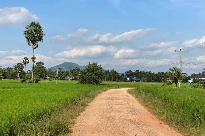 Full Day Pepper Farm Adventure by Scooter - Why this Kampot-to-Kep scooter day feels like the real deal