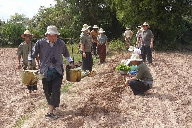 Full Day Siem Reap Farm Tour with Cooking Class and Monk Blessing - A rural day near Angkor: Krabei Riel’s village pace