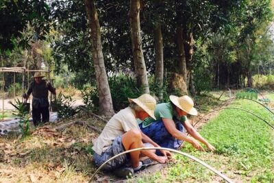 Full Day Siem Reap Farm Tour with Cooking Class and Monk Blessing - Hotel pickup and tuk-tuk ride: how the day starts
