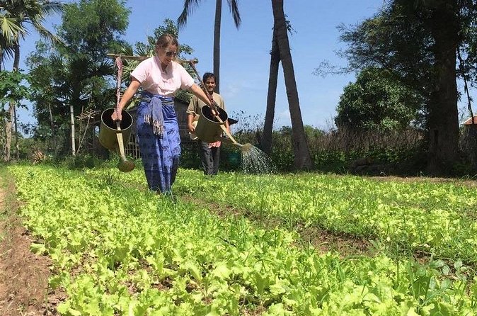 Full Day Siem Reap Farm Tour with Cooking Class and Monk Blessing - Timing and logistics: what an 8–9 hour day really means