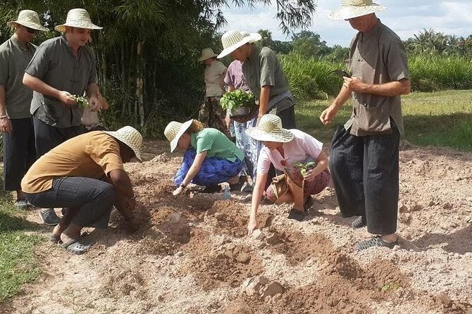 Full Day Siem Reap Farm Tour with Cooking Class and Monk Blessing - Price and value: why $45 can make sense here