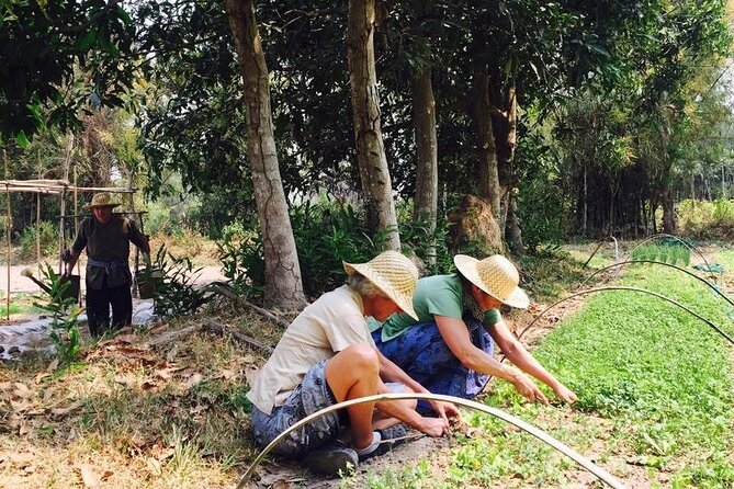 Full Day Siem Reap Farm Tour with Cooking Class and Monk Blessing - Hotel pickup and tuk-tuk ride: how the day starts