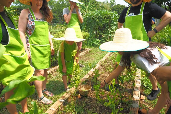 Full Day Thai Cooking at Farm (Chiang Mai) - Your menu choices: eight Thai categories you actually learn to cook
