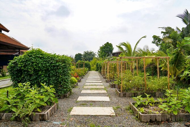 Full-Day Thai Cooking Class with Grandma - Market and Farm Tour - In the open-air kitchen: your station, small group vibe, and 7 dishes