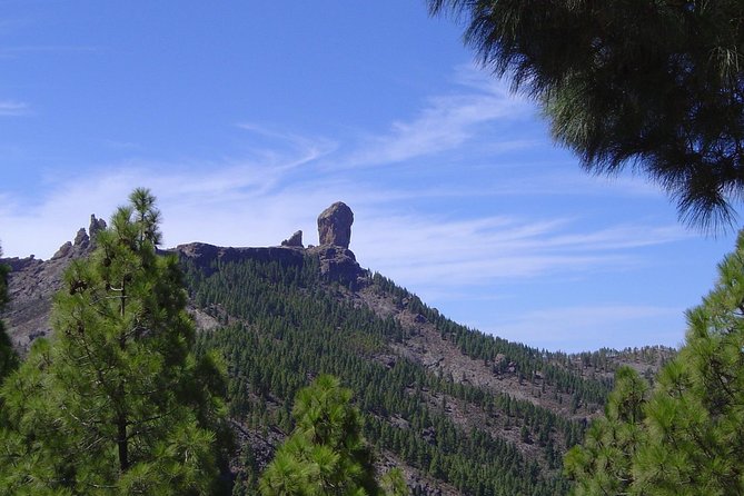 Full-Day Tour Exploring History, Nature and Aloe Vera Farm - A 7-Hour Gran Canaria Loop Through Caves, Crags, and Classic Villages