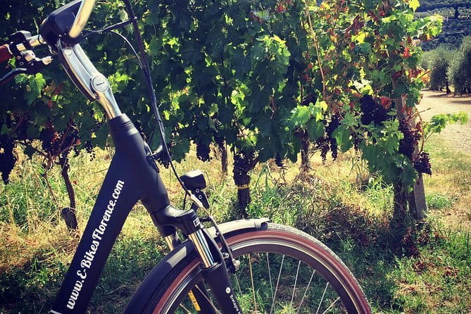 Full-Day Tuscany and Chianti Hills Bike Tour With Lunch at Farm - Wine and Olive Oil Tasting: What You’re Really Paying For