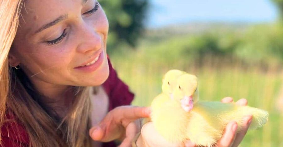 Gallura: Picnic on a Farm with Animals - What you actually do with the animals (and what you don’t)