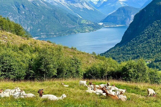Geiranger by Royal route, 5 hours with visiting a high-mountain farm - Korsmyra viewpoint: Storseterfossen photos in just five minutes