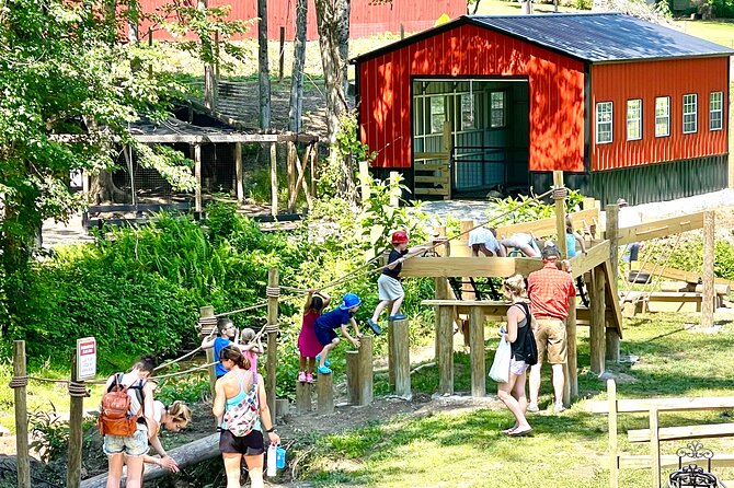 Gem Mining and Goat Farm Walking Tour in Hendersonville - Aviary Stops With Peacocks, Pheasants, and More
