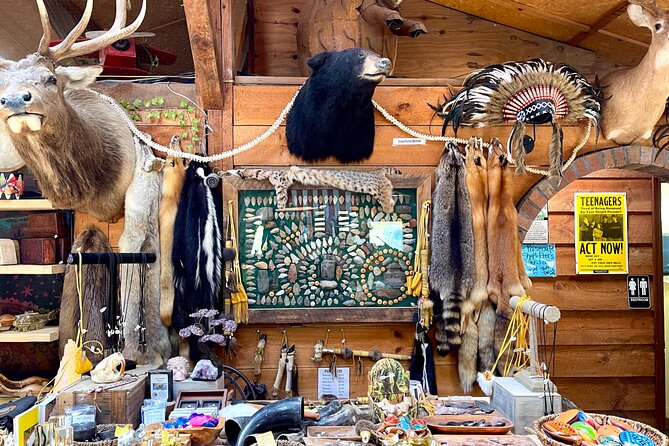 Gem Mining and Goat Farm Walking Tour in Hendersonville - Who This Tour Is Best For (And Who Might Skip It)