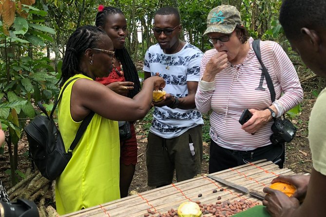 Ghana Eastern Explorer - Boti Falls, Aburi Gardens & Tetther Quarshie Cocoa Farm - Key highlights to know before you go