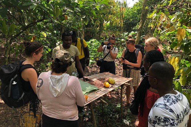 Ghana Eastern Explorer - Boti Falls, Aburi Gardens & Tetther Quarshie Cocoa Farm - A packed day in eastern Ghana that still feels relaxed