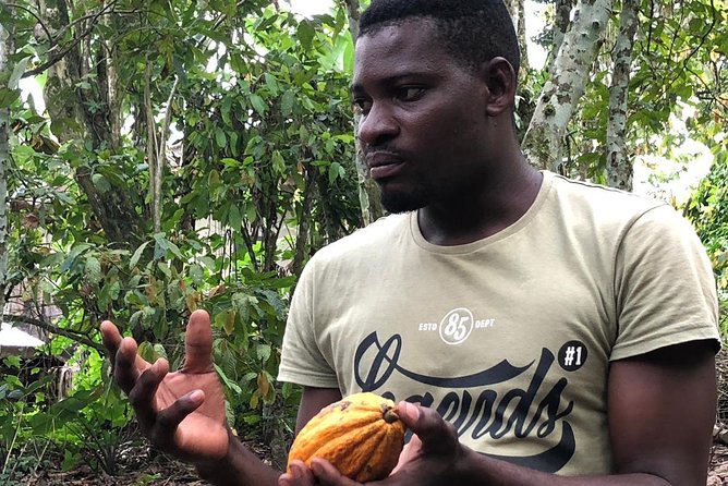 Ghana Eastern Explorer - Boti Falls, Aburi Gardens & Tetther Quarshie Cocoa Farm - Price and value: what $190 covers and why it matters