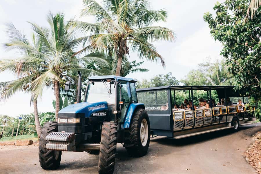 Gold Coast: Tropical Fruit World Full Farm Tour - Where to meet: the big avocado on the highway