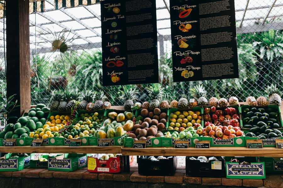 Gold Coast: Tropical Fruit World Full Farm Tour - Cudgen Creek boat cruise: native flora, wildlife sightings, and erosion control
