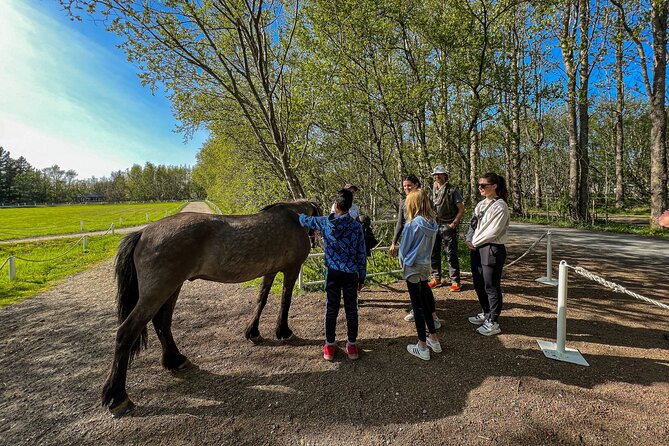 Golden Circle and Lunch at Fridheimar Tomato Farm - with photos - Your guide matters: Gretar, photo help, and keeping it not-rushed