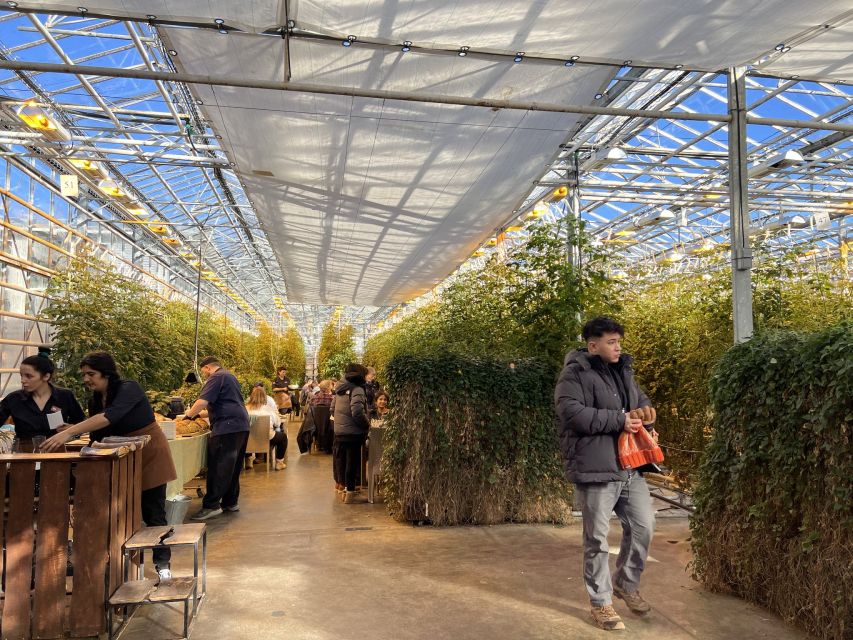 Golden circle, hot spring bakery, tomato farm private tour - What to bring for a comfortable day in geothermal weather