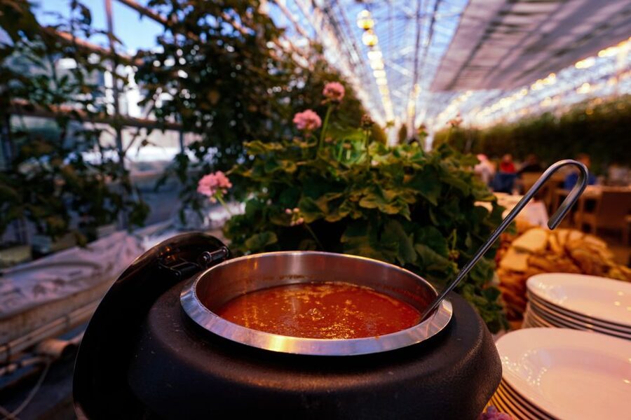 Golden Circle & Lunch at Fridheimar Tomato Farm- with photos - Friðheimar Tomato Farm late lunch: where the day turns tasty