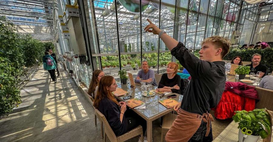 Golden Circle & Lunch at Fridheimar Tomato Farm- with photos - Pickup timing and what to watch for in the real world