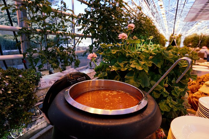 Golden Circle with Tomato Farm Lunch & Secret Lagoon Bathing - Price and value: is $229 fair for what you get?