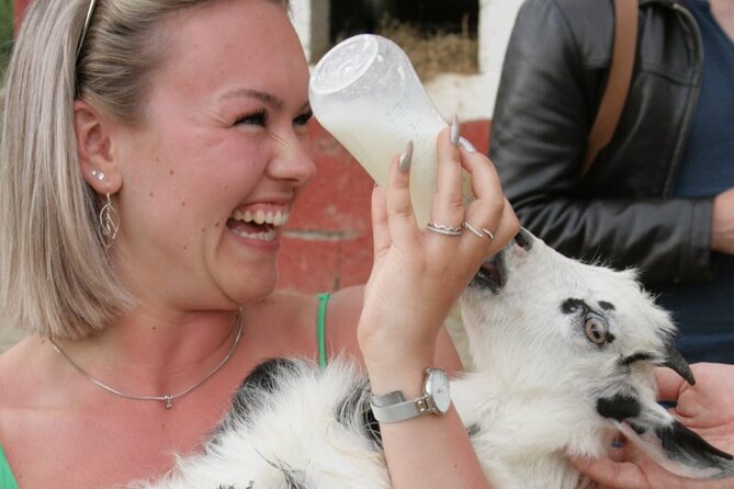 Gourmet Lunch Farm Tour with Cooking Class - Farm animals: goats, donkeys, and real up-close moments
