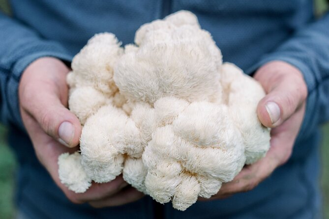 Gourmet Mushroom Farm Tour in Tennessee - Key highlights before you go