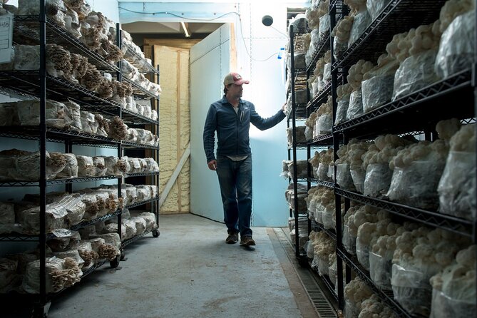 Gourmet Mushroom Farm Tour in Tennessee - The included tasting: freshly cured mushroom jerky