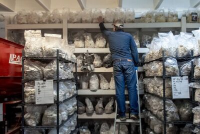 Gourmet Mushroom Farm Tour in Tennessee - Meeting at 5538 Clarksville Pike (Joelton): quick logistics that matter