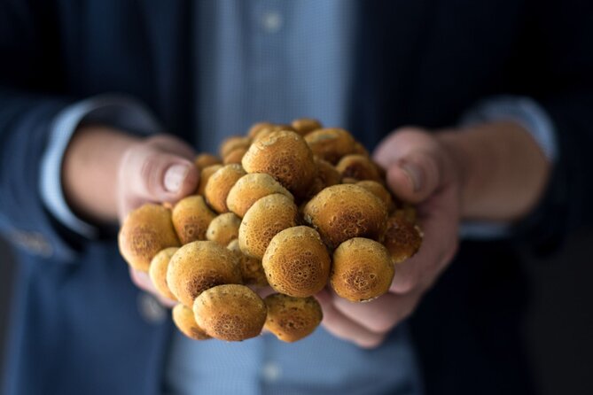 Gourmet Mushroom Farm Tour in Tennessee - Price and value: is $35 for an hour a fair deal?