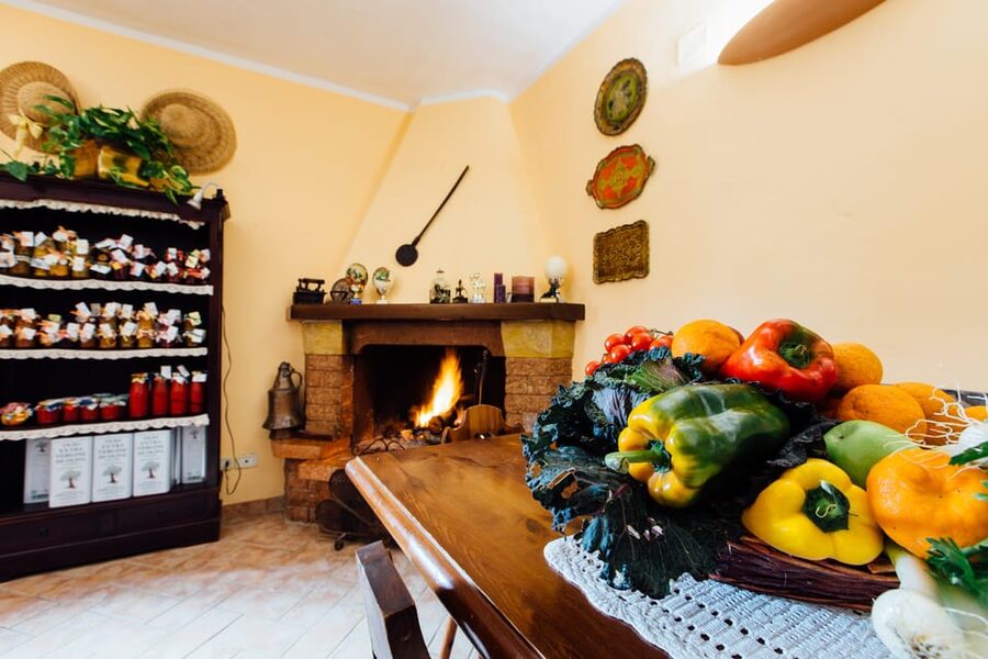 Grosseto: visit the family farm with tasting of local food - The seasonal tasting: cheese, wine, and vegetables from the farm