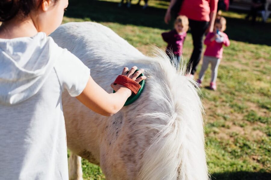 Grosseto: visit the family farm with tasting of local food - Price and value: is $33 for 2 hours a fair deal?
