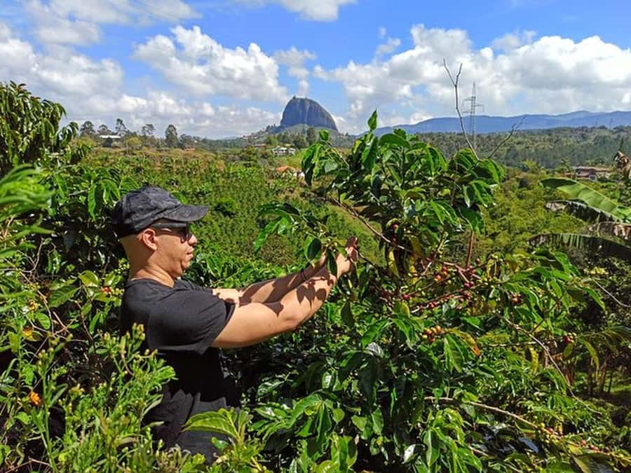 Guatapé & Coffee Farm, all in one day - A working coffee farm: you’ll see the full process, not just the drink