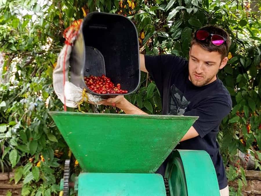 Guatapé & Coffee Farm, all in one day - Who this tour suits best (and who should think twice)