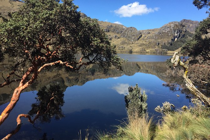 Guayaquil to Cuenca one-way tour with Cajas Park and a Cacao Farm visit - Price and value: what you’re really paying for
