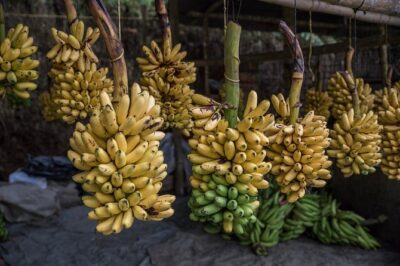 Guayaquil to Cuenca one-way tour with Cajas Park and a Cacao Farm visit - Puente de las frutas de Tamarindo: snack your way through Ecuador’s fruit culture
