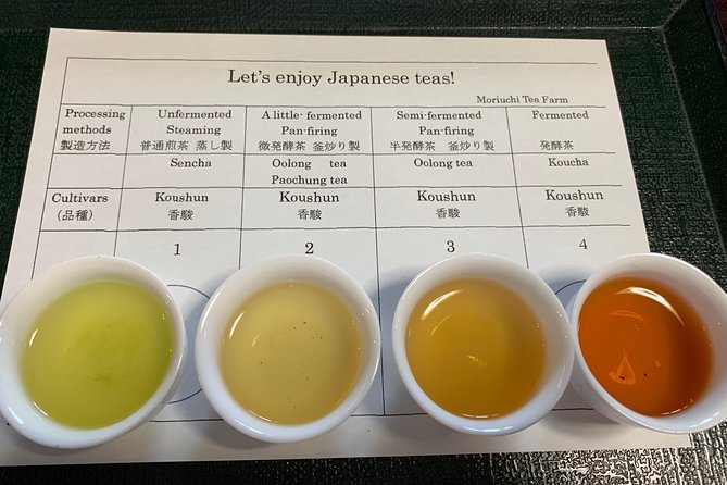 Guided Bike Tour to a Green Tea Farm in Shizuoka (not e-bikes) - Why This Tea-Farm Bike Tour Feels More Real Than a Bus Stop