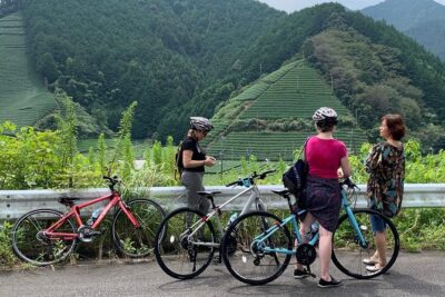 Guided Bike Tour to a Green Tea Farm in Shizuoka (not e-bikes) - The Bikes, Helmets, and Pace: Comfort Without the Motor