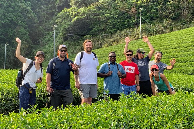 Guided Bike Tour to a Green Tea Farm in Shizuoka (not e-bikes) - Choosing Your Tasting: Option A Variety or Option B Sencha Only