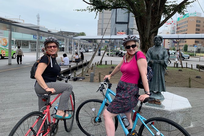 Guided Bike Tour to a Green Tea Farm in Shizuoka (not e-bikes) - After the Farm: Sengen Shrine or Sumpu Castle Park on the Way Back
